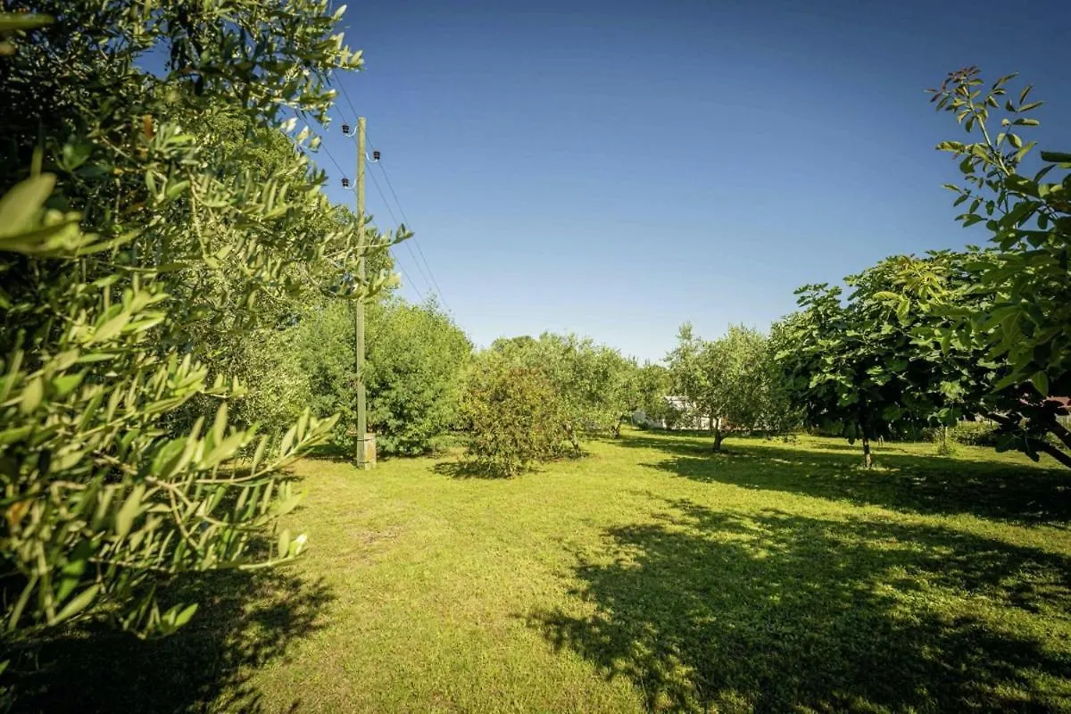 Mare In Medulin - Haus Fuer 6 Personen Villa Holiday home